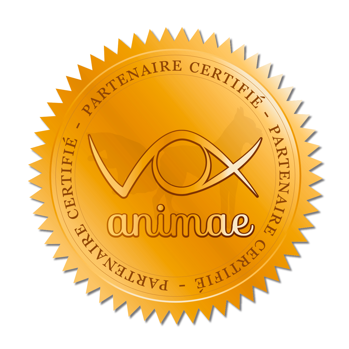 Logo de VOX Animae